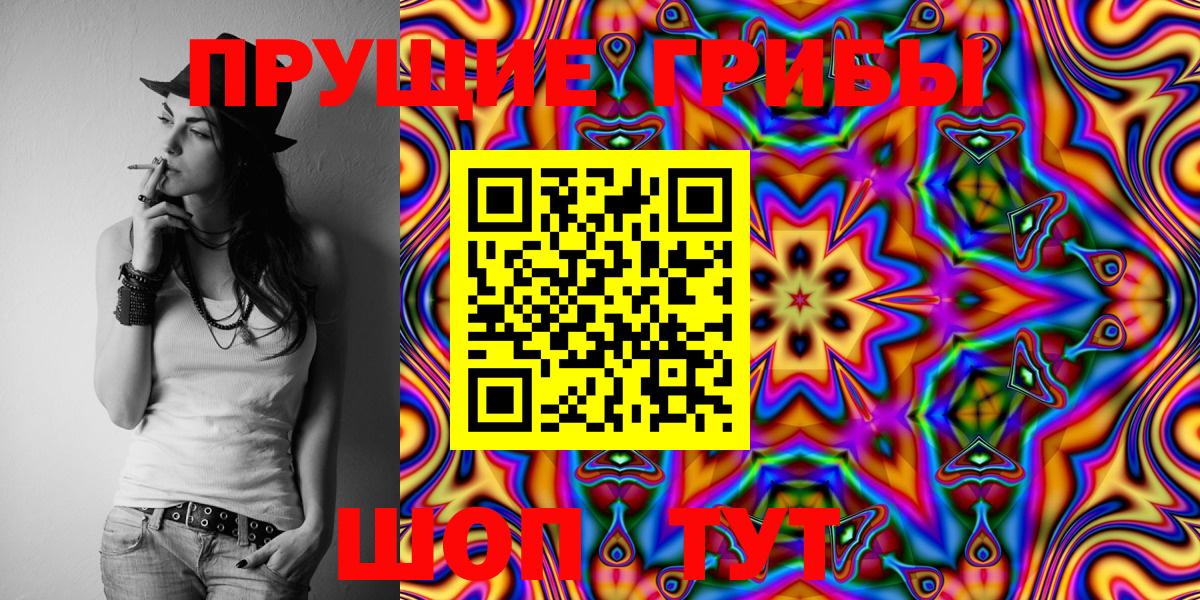 Псилоцибиновые грибы Cubensis Россошь